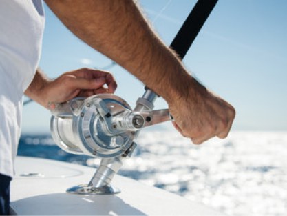 系列與性能Series & Performance